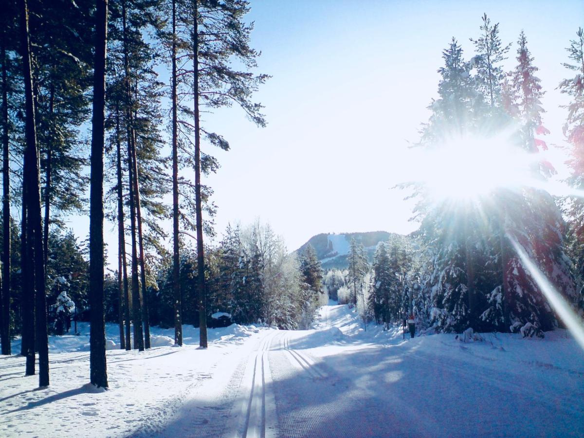 Vasa Ski Lodge Mora Eksteriør billede